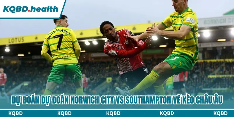 Dự Đoán Norwich City Vs Southampton lúc 01h45 ngày 15/10 – EFL Championship 3 Dự đoán Norwich City vs Southampton qua kèo châu Âu