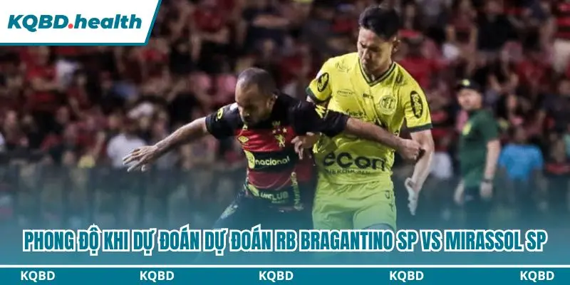 Đánh giá toàn diện phong độ hai đội trước vòng 29 Brasileirão