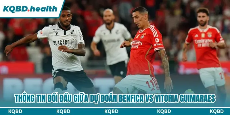 Dự Đoán Benfica Vs Vitoria Guimaraes Lúc 00h00 Ngày 12/10 - Primeira Liga 2 Thống kê chi tiết đối đầu giữa Benfica và Vitoria Guimaraes