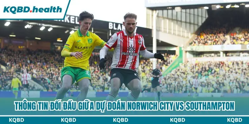 Dự Đoán Norwich City Vs Southampton lúc 01h45 ngày 15/10 – EFL Championship 2 Chi tiết đối đầu gần đây giữa Norwich City và Southampton