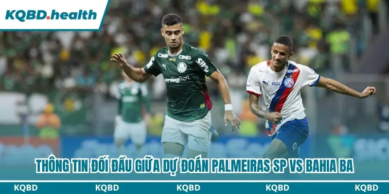 Dự Đoán Palmeiras SP Vs Bahia BA lúc 07h30 ngày 09/10 - Brasileirão Serie A 2 Thống kê chi tiết đối đầu gần đây giữa Palmeiras và Bahia